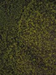 The ambiguous and sw