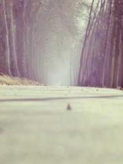 The Sovereign of the