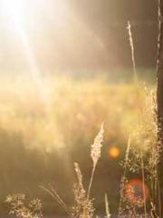 Super Dimensional Me