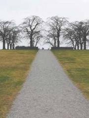 The Poisonous Doctor