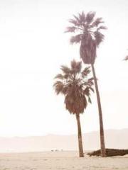 Reborn in the Apocal