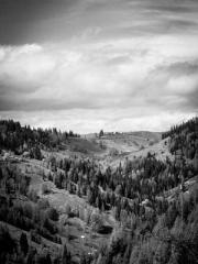 Falling for You: The