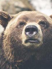 lt;lt;The Heavenly D