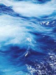 The Legend of the Dr