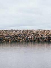 Rong Shao Nan Ning Y