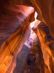 A Lifetime of Captiv