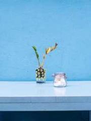 lt;lt;Legend of Yunx