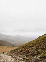 Li Qingqing and Zhao