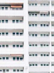 Lin Feng, Lin Yun, a