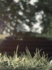 lt;lt;Know Green, Do