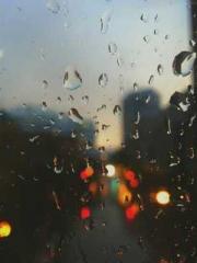 The Daring Wife of a