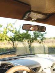 Bones-Eating Marriag