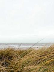 lt;lt;The Heavenly D