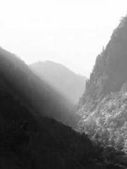 The wife wishes to b