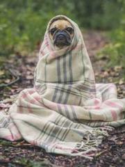 High School Campus S