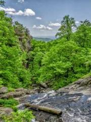 The wife wishes to b