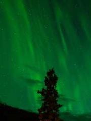 lt;lt;lt;Reborn Soar