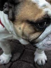 lt;lt;lt;Reborn Soar