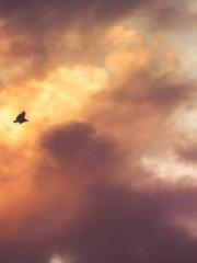 lt;lt;The Heavenly D