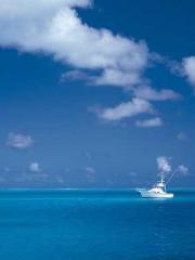 The Taoist nun was f