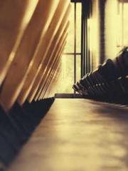 Transmigrated to the