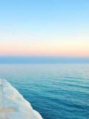 Reborn in 1989: Crea