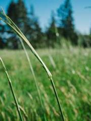 The Sovereign of the