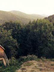 Qi is thin, but I be